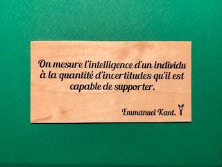 On-mesure-l-intelligence-particulier