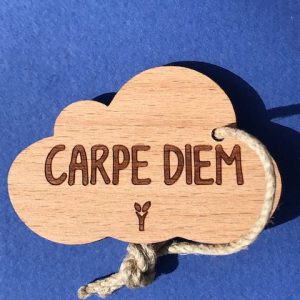 Carpe-diem-pc-particulier