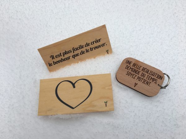 carte sur neige