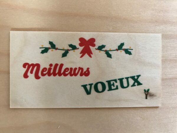 meilleurs voeux