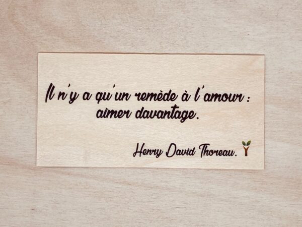 Il n'y a qu'un remède à l'amour aimer davantage