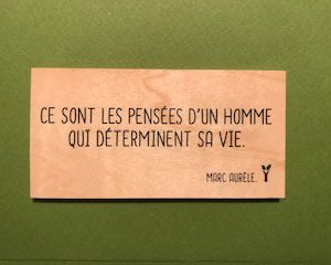Ce sont les pensées