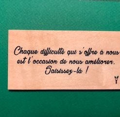 Chaque-difficulté-qui-particulier
