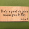 Il n'y a point de génie