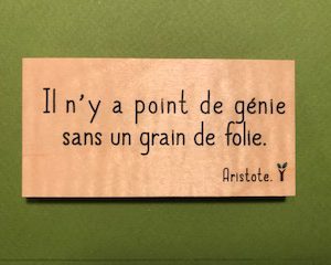 Il n'y a point de génie