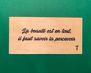 La-beauté-est-en-tout-particulier