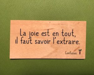La joie est en tout