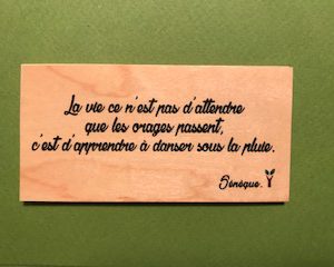 La-vie-ce-n-est-pas-distributeur