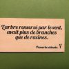 L-arbre-renversé-par-distributeur