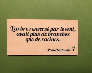 L-arbre-renversé-par-distributeur