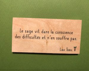 Le-sage-vit-distributeur