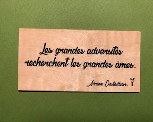 Les-grandes-adversités-distributeur