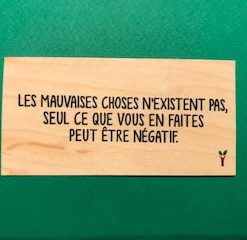 Les-mauvaises-choses-particulier