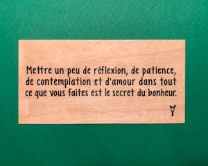 Mettre-un-peu-de-reflexion-particulier