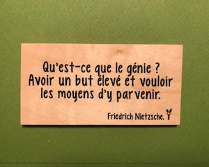 Qu-est-ce-que-le-génie-distributeur