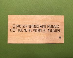 Si nos sentiments