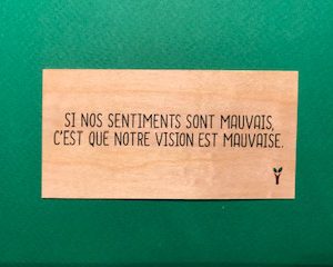 Si-nos-sentiments-particulier