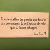 Tu-es-le-maître-distributeur