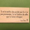 Tu-es-le-maître-distributeur
