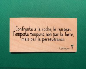 Confronté-à-la-roche-particulier