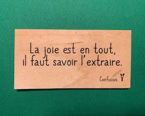 La-joie-est-en-tout-particulier