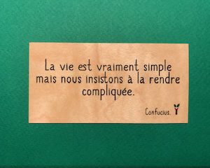 La-vie-est-vraiment-simple-particulier