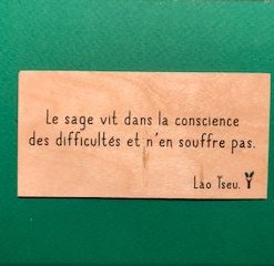 Le-sage-vit-dans-la-particulier