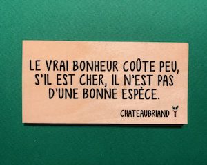 Le-vrai-bonheur-coûte-particulier