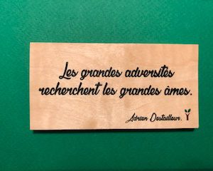 Les-grandes-adversités-particulier