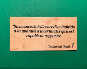 On-mesure-l-intelligence-particulier