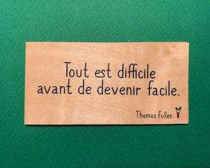 Tout-est-difficile-particulier