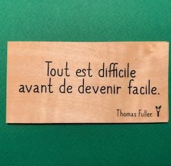 Tout-est-difficile-particulier