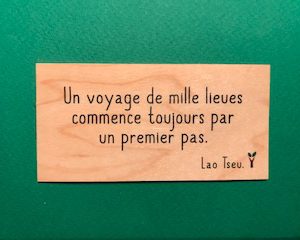 Un-voyage-mille-lieues-particulier