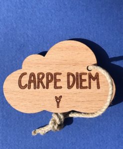 Carpe-diem-pc-particulier