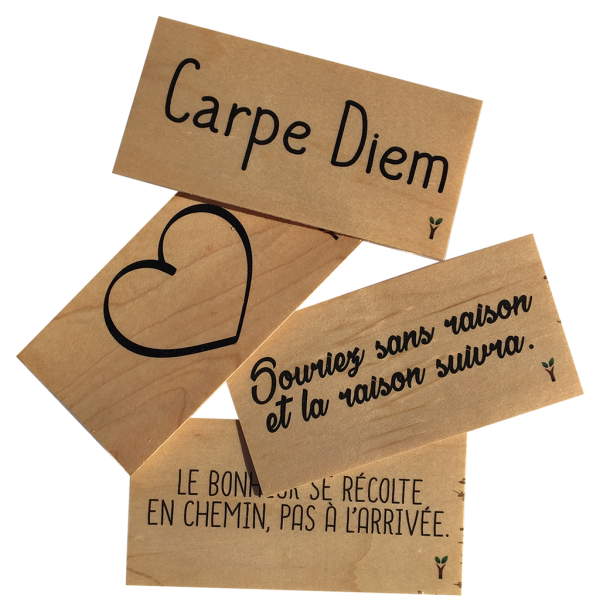 Échantillon-gratuit-carte-en-bois-Hylarion