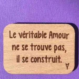 le-veritable-amour-magnet-particulier