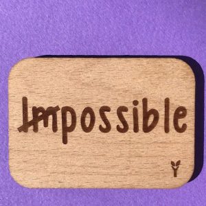 impossible-magnet-particulier