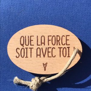 Que-la-force-soit-avec-toi-particulier