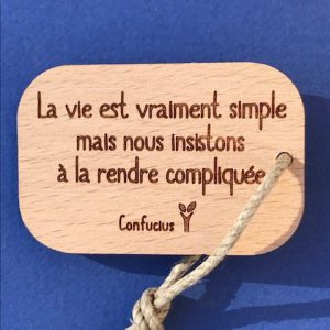 la-vie-est-vraiment-simple-pc-particulier