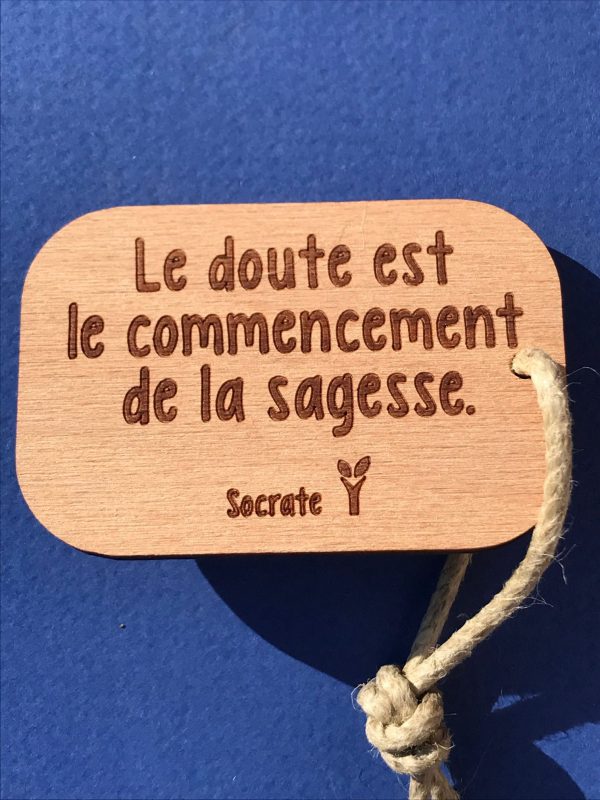 le-doute-est-le commencement de la sagesse