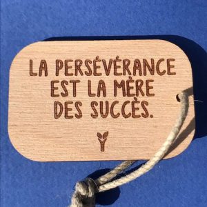 persévérance-mère-des-succès-pc-particulier