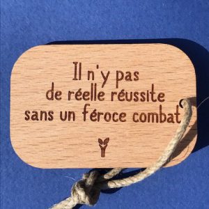 réelle-réussite-féroce-combat-pc-particulier