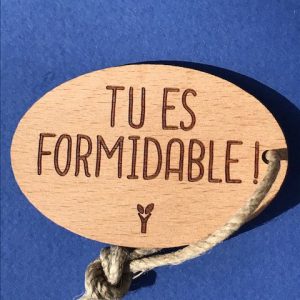 tu-es-formidable-pc-particulier