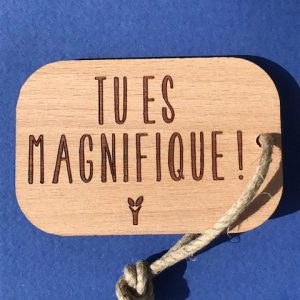 tu-es-magnifique-pc-particulier