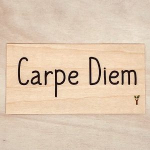 Carpe diem