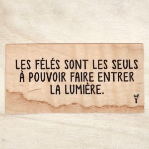 Les félés sont les seuls à pouvoir faire passer la lumière.