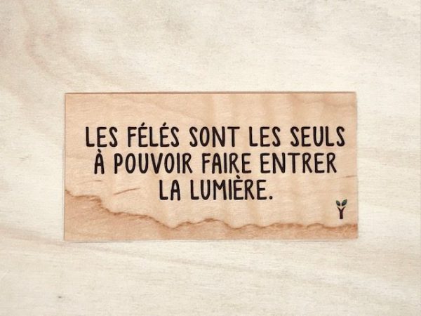 Les félés sont les seuls à pouvoir faire passer la lumière.