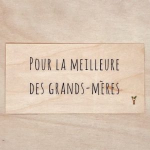 Pour la meilleure des grands-mères carte