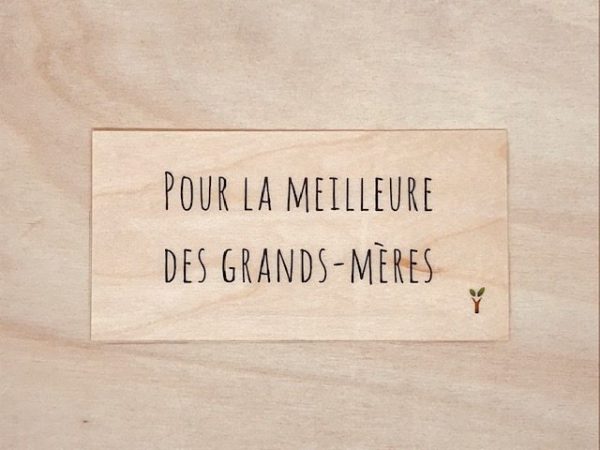 Pour la meilleure des grands-mères carte