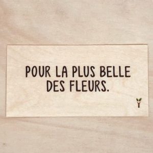 Pour la plus belle des fleurs